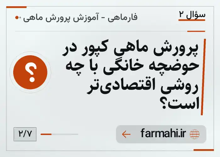پرورش ماهی کپور در حوضچه خانگی با چه روشی اقتصادی‌تر است؟