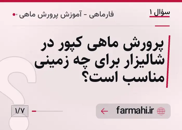 پرورش ماهی کپور در شالیزار برای چه زمینی مناسب است؟