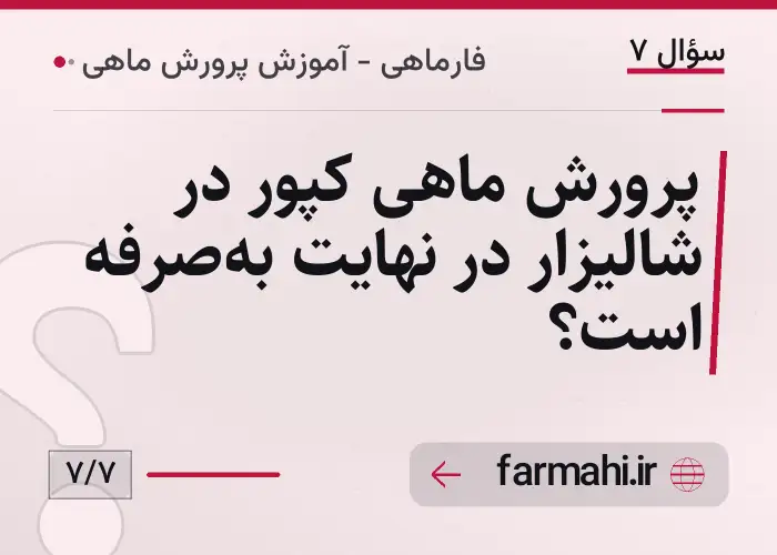 پرورش ماهی کپور در شالیزار در نهایت به‌صرفه است؟
