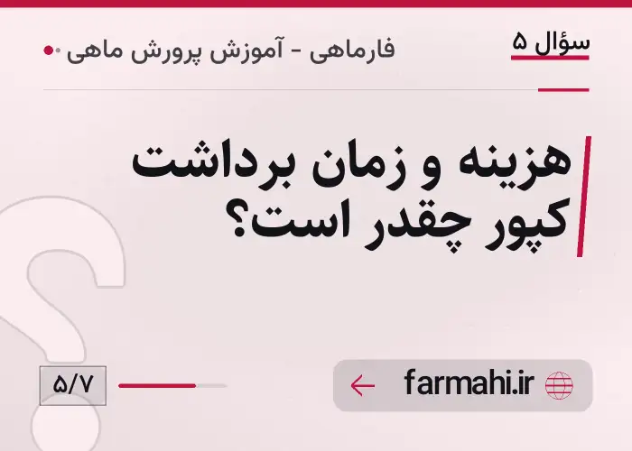 هزینه و زمان برداشت کپور چقدر است؟