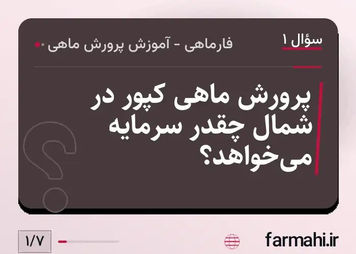 پرورش ماهی کپور در شمال چقدر سرمایه می‌خواهد؟