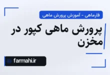 پرورش ماهی کپور در مخزن