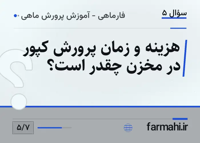 هزینه و زمان پرورش کپور در مخزن چقدر است؟