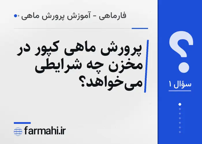 پرورش ماهی کپور در مخزن چه شرایطی می‌خواهد؟