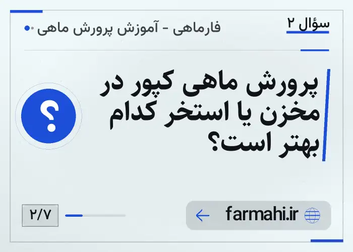 پرورش ماهی کپور در مخزن یا استخر کدام بهتر است؟