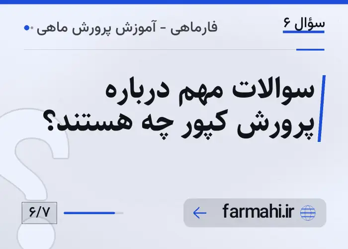 سوالات مهم درباره پرورش کپور چه هستند؟