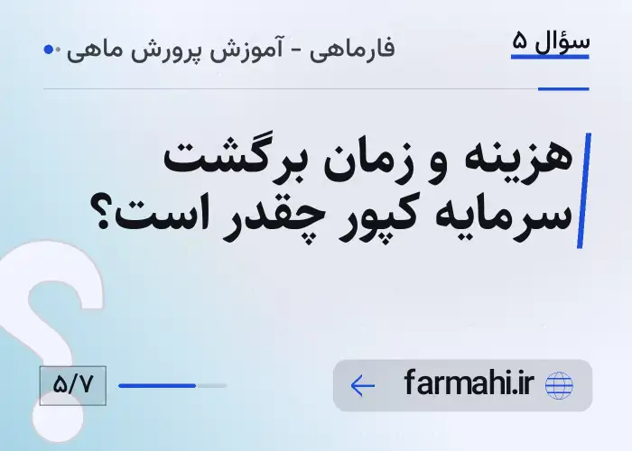 هزینه و زمان برگشت سرمایه کپور چقدر است؟