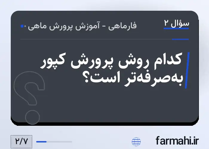 کدام روش پرورش کپور به‌صرفه‌تر است؟