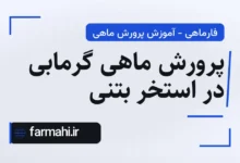 پرورش ماهی گرمابی در استخر بتنی
