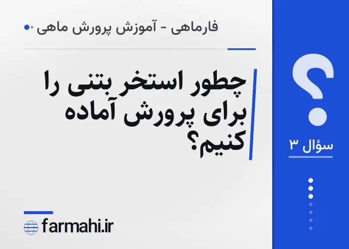 چطور استخر بتنی را برای پرورش آماده کنیم؟