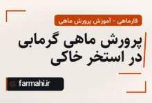 پرورش ماهی گرمابی در استخر خاکی