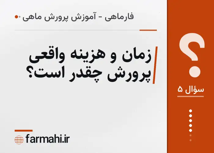 زمان و هزینه واقعی پرورش چقدر است؟
