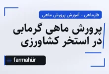 پرورش ماهی گرمابی در استخر کشاورزی