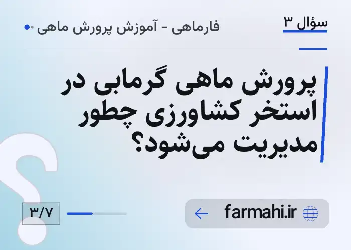 پرورش ماهی گرمابی در استخر کشاورزی چطور مدیریت می‌شود؟