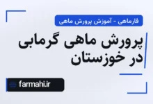 پرورش ماهی گرمابی در خوزستان