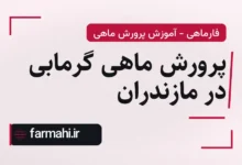 پرورش ماهی گرمابی در مازندران