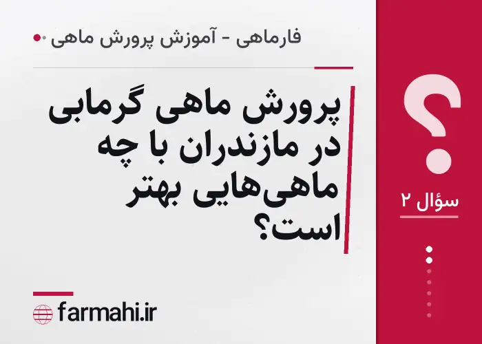 پرورش ماهی گرمابی در مازندران با چه ماهی‌هایی بهتر است؟