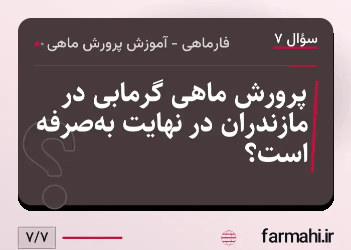 پرورش ماهی گرمابی در مازندران در نهایت به‌صرفه است؟