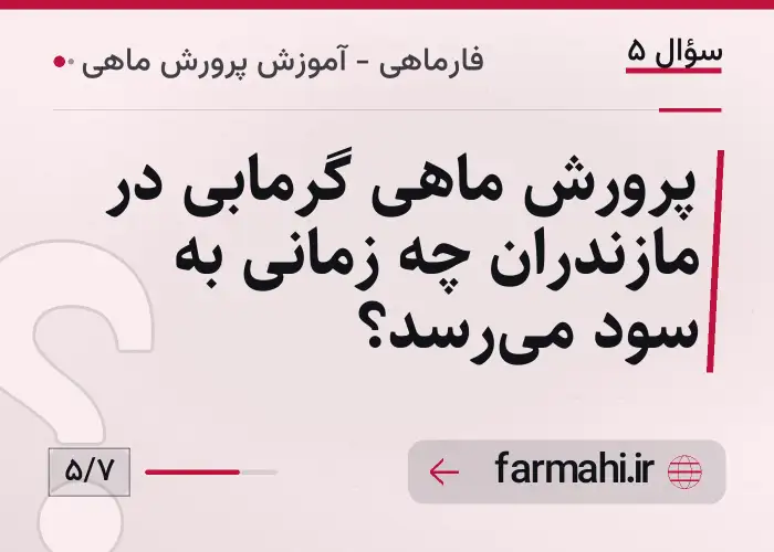 پرورش ماهی گرمابی در مازندران چه زمانی به سود می‌رسد؟