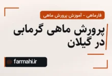 پرورش ماهی گرمابی در گیلان