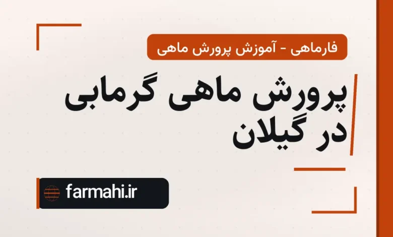 پرورش ماهی گرمابی در گیلان