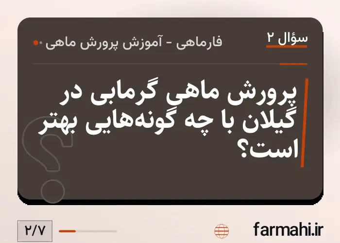 پرورش ماهی گرمابی در گیلان با چه گونه‌هایی بهتر است؟