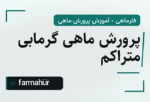 پرورش ماهی گرمابی متراکم