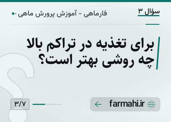 برای تغذیه در تراکم بالا چه روشی بهتر است؟