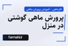 پرورش ماهی گوشتی در منزل