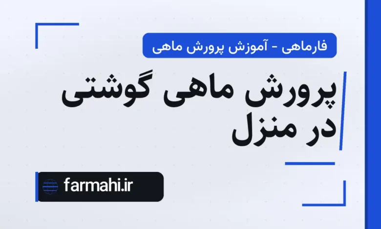 پرورش ماهی گوشتی در منزل