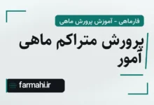 پرورش متراکم ماهی آمور