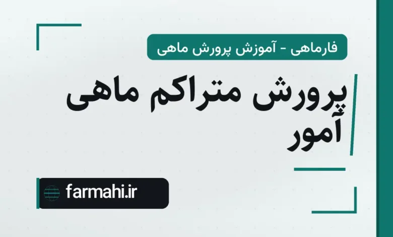 پرورش متراکم ماهی آمور