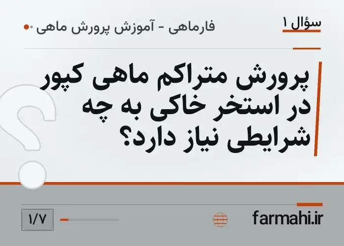 پرورش متراکم ماهی کپور در استخر خاکی به چه شرایطی نیاز دارد؟