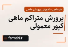 پرورش متراکم ماهی کپور معمولی