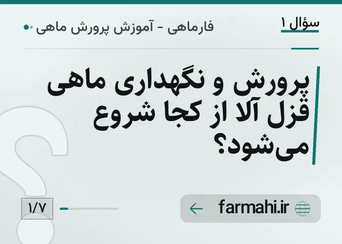 پرورش و نگهداری ماهی قزل آلا از کجا شروع می‌شود؟