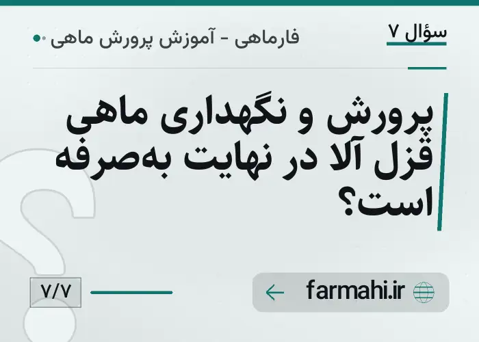 پرورش و نگهداری ماهی قزل آلا در نهایت به‌صرفه است؟