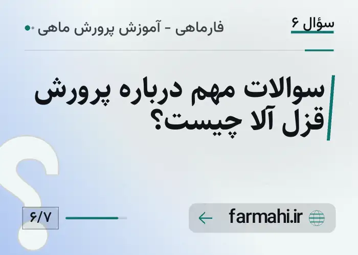سوالات مهم درباره پرورش قزل آلا چیست؟