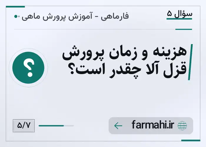هزینه و زمان پرورش قزل آلا چقدر است؟