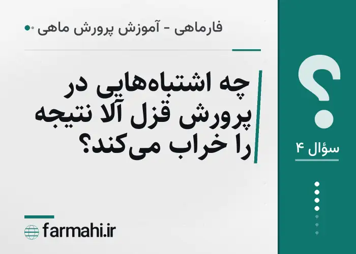 چه اشتباه‌هایی در پرورش قزل آلا نتیجه را خراب می‌کند؟