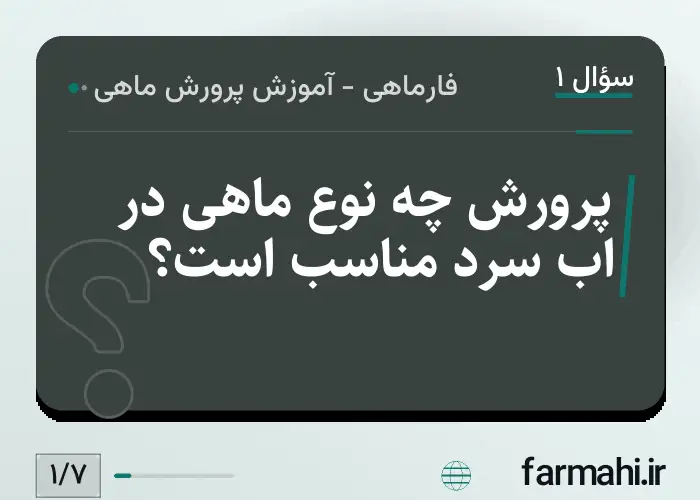 پرورش چه نوع ماهی در اب سرد مناسب است؟