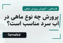 پرورش چه نوع ماهی در اب سرد مناسب است؟