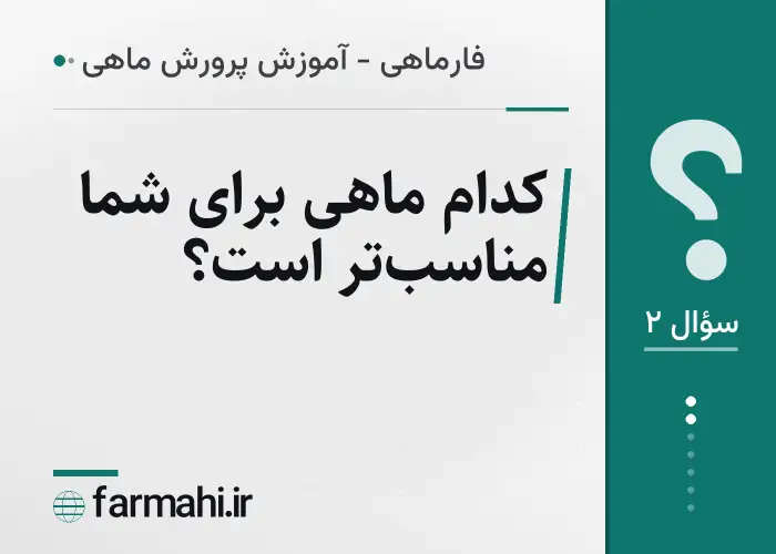 کدام ماهی برای شما مناسب‌تر است؟
