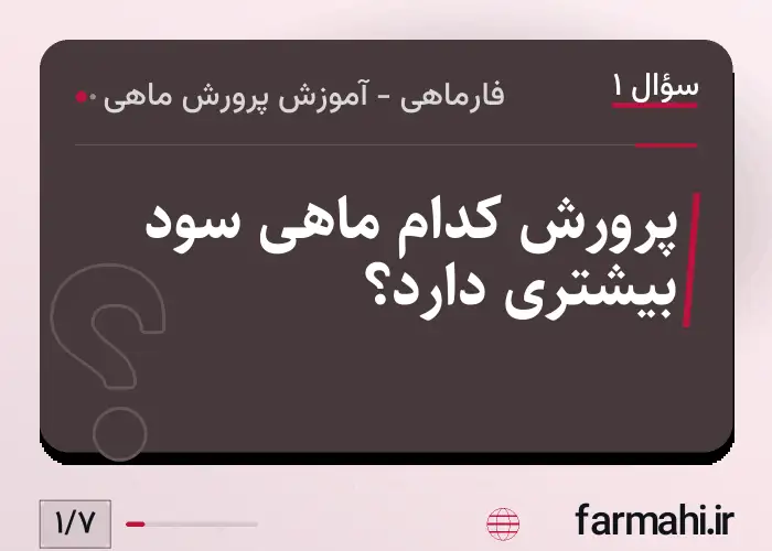 پرورش کدام ماهی سود بیشتری دارد؟