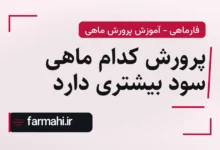 پرورش کدام ماهی سود بیشتری دارد