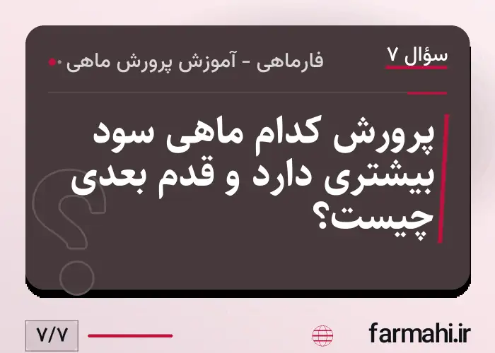 پرورش کدام ماهی سود بیشتری دارد و قدم بعدی چیست؟