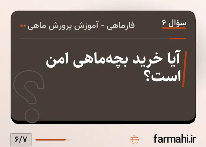 آیا خرید بچه‌ماهی امن است؟