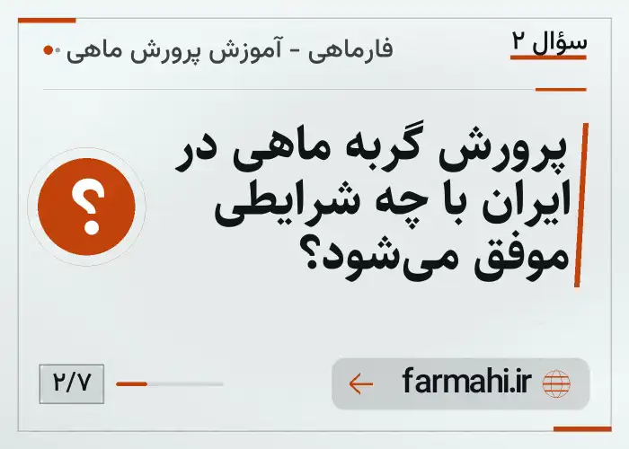 پرورش گربه ماهی در ایران با چه شرایطی موفق می‌شود؟