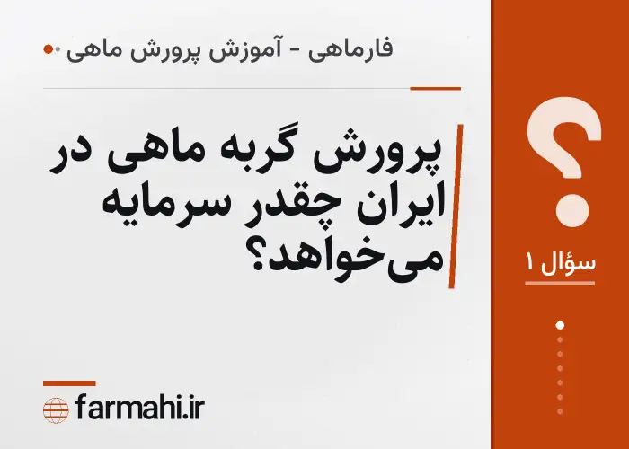 پرورش گربه ماهی در ایران چقدر سرمایه می‌خواهد؟