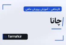 چانا