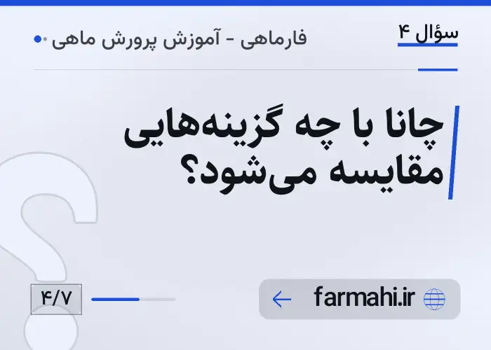 چانا با چه گزینه‌هایی مقایسه می‌شود؟